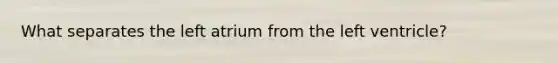 What separates the left atrium from the left ventricle?