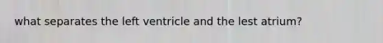 what separates the left ventricle and the lest atrium?
