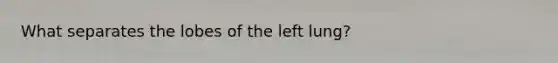 What separates the lobes of the left lung?