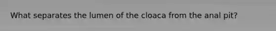 What separates the lumen of the cloaca from the anal pit?