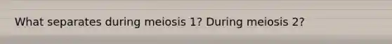 What separates during meiosis 1? During meiosis 2?