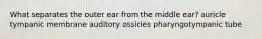 What separates the outer ear from the middle ear? auricle tympanic membrane auditory ossicles pharyngotympanic tube