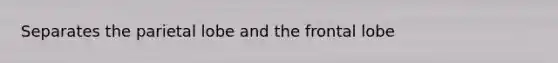 Separates the parietal lobe and the frontal lobe
