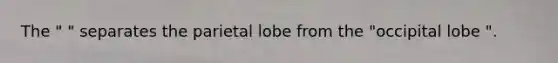 The " " separates the parietal lobe from the "occipital lobe ".