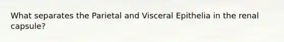 What separates the Parietal and Visceral Epithelia in the renal capsule?