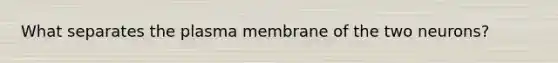 What separates the plasma membrane of the two neurons?