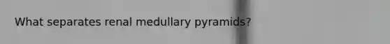 What separates renal medullary pyramids?