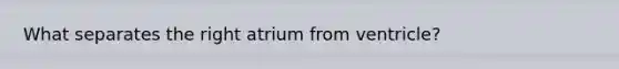 What separates the right atrium from ventricle?