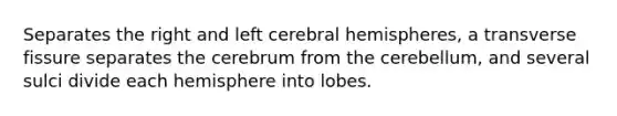 Separates the right and left cerebral hemispheres, a transverse fissure separates the cerebrum from the cerebellum, and several sulci divide each hemisphere into lobes.