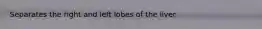 Separates the right and left lobes of the liver