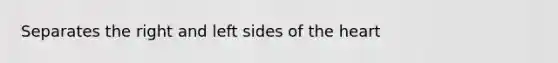 Separates the right and left sides of the heart