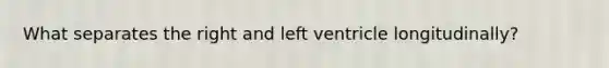 What separates the right and left ventricle longitudinally?