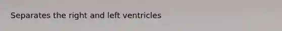 Separates the right and left ventricles