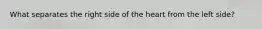 What separates the right side of the heart from the left side?
