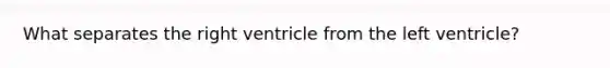 What separates the right ventricle from the left ventricle?