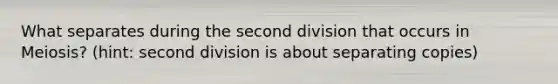 What separates during the second division that occurs in Meiosis? (hint: second division is about separating copies)