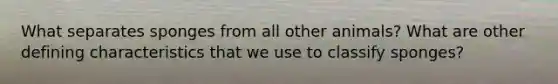 What separates sponges from all other animals? What are other defining characteristics that we use to classify sponges?