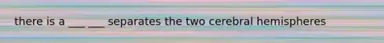 there is a ___ ___ separates the two cerebral hemispheres