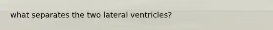 what separates the two lateral ventricles?