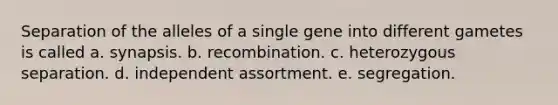 Separation of the alleles of a single gene into different gametes is called a. synapsis. b. recombination. c. heterozygous separation. d. independent assortment. e. segregation.