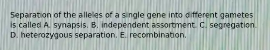 Separation of the alleles of a single gene into different gametes is called A. synapsis. B. independent assortment. C. segregation. D. heterozygous separation. E. recombination.