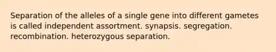 Separation of the alleles of a single gene into different gametes is called independent assortment. synapsis. segregation. recombination. heterozygous separation.