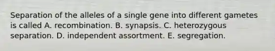 Separation of the alleles of a single gene into different gametes is called A. recombination. B. synapsis. C. heterozygous separation. D. independent assortment. E. segregation.