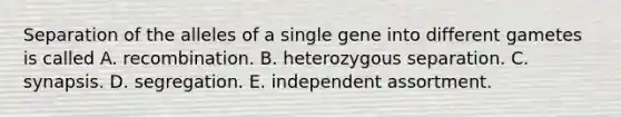 Separation of the alleles of a single gene into different gametes is called A. recombination. B. heterozygous separation. C. synapsis. D. segregation. E. independent assortment.