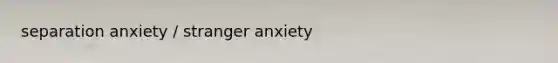 separation anxiety / stranger anxiety