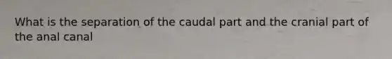 What is the separation of the caudal part and the cranial part of the anal canal