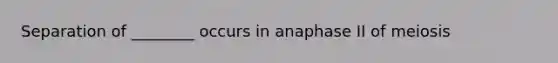 Separation of ________ occurs in anaphase II of meiosis