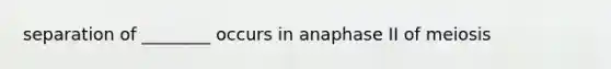 separation of ________ occurs in anaphase II of meiosis