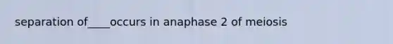 separation of____occurs in anaphase 2 of meiosis