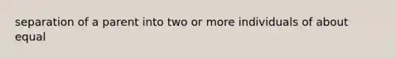 separation of a parent into two or more individuals of about equal