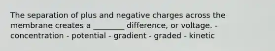 The separation of plus and negative charges across the membrane creates a ________ difference, or voltage. - concentration - potential - gradient - graded - kinetic