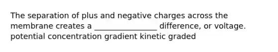 The separation of plus and negative charges across the membrane creates a ________________ difference, or voltage. potential concentration gradient kinetic graded