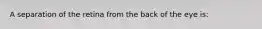A separation of the retina from the back of the eye is: