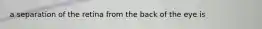 a separation of the retina from the back of the eye is