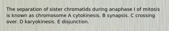 The separation of sister chromatids during anaphase I of mitosis is known as chromosome A cytokinesis. B synapsis. C crossing over. D karyokinesis. E disjunction.