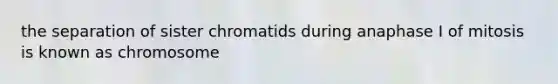 the separation of sister chromatids during anaphase I of mitosis is known as chromosome