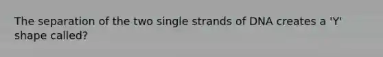 The separation of the two single strands of DNA creates a 'Y' shape called?