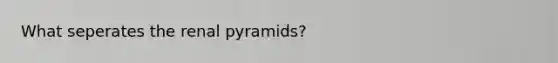 What seperates the renal pyramids?