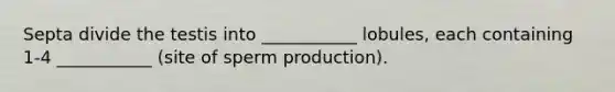 Septa divide the testis into ___________ lobules, each containing 1-4 ___________ (site of sperm production).