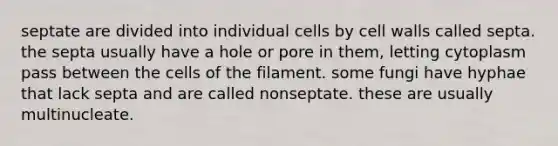 septate are divided into individual cells by cell walls called septa. the septa usually have a hole or pore in them, letting cytoplasm pass between the cells of the filament. some fungi have hyphae that lack septa and are called nonseptate. these are usually multinucleate.