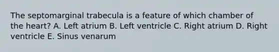 The septomarginal trabecula is a feature of which chamber of the heart? A. Left atrium B. Left ventricle C. Right atrium D. Right ventricle E. Sinus venarum