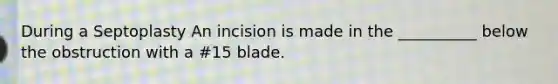 During a Septoplasty An incision is made in the __________ below the obstruction with a #15 blade.