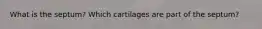 What is the septum? Which cartilages are part of the septum?