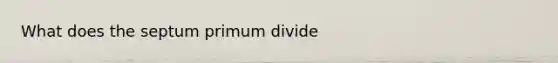 What does the septum primum divide