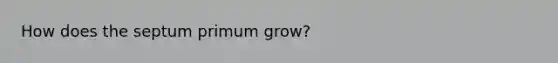 How does the septum primum grow?