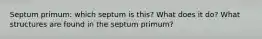 Septum primum: which septum is this? What does it do? What structures are found in the septum primum?